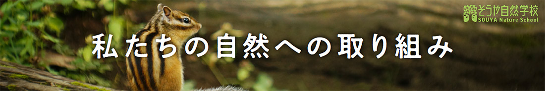 私たちの自然への取り組み